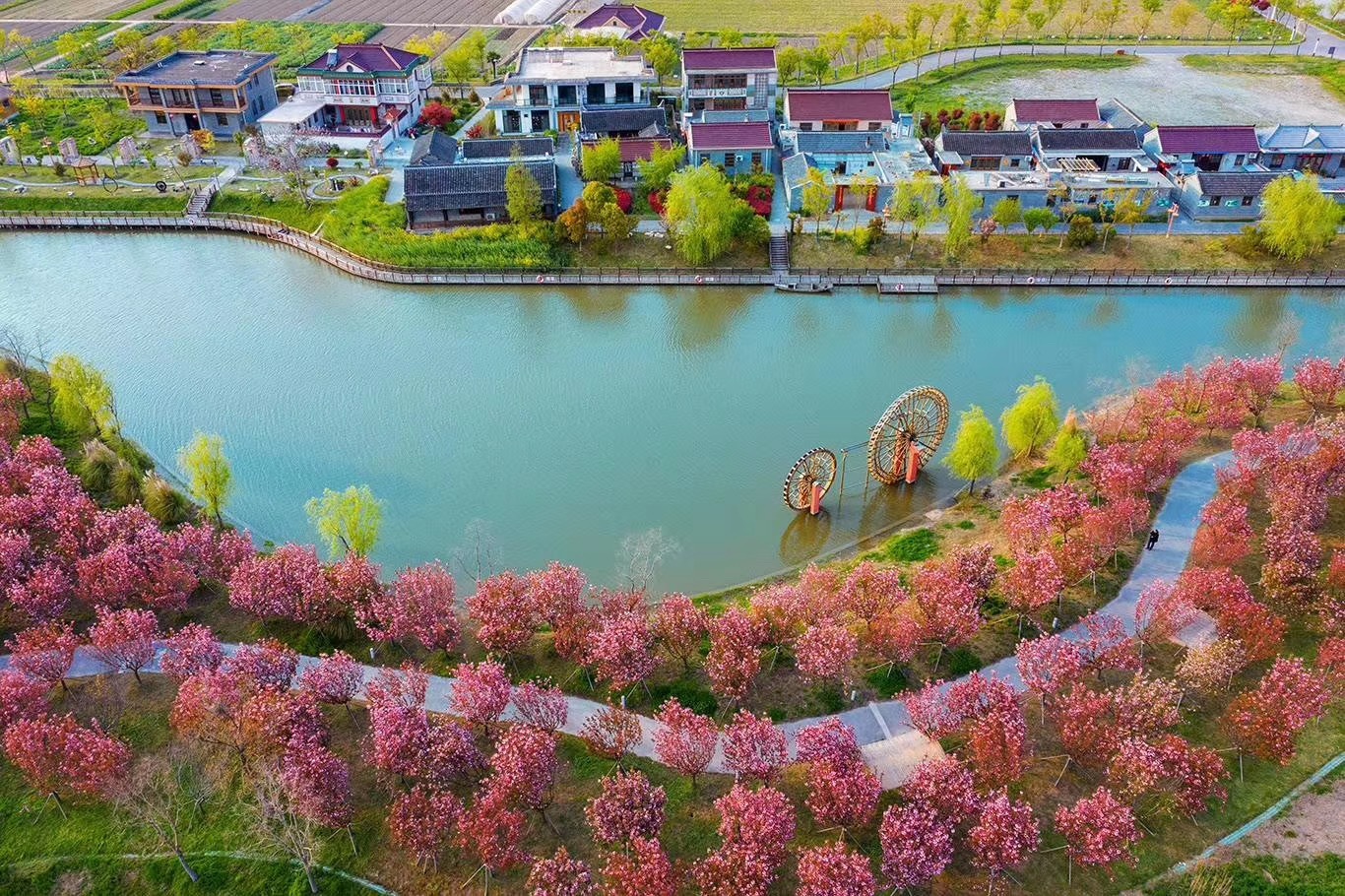姜堰小楊村:家庭農(nóng)場(chǎng)成就致富夢(mèng)